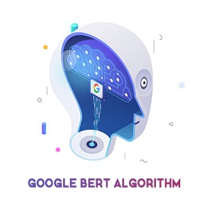 google-bert-algorithm