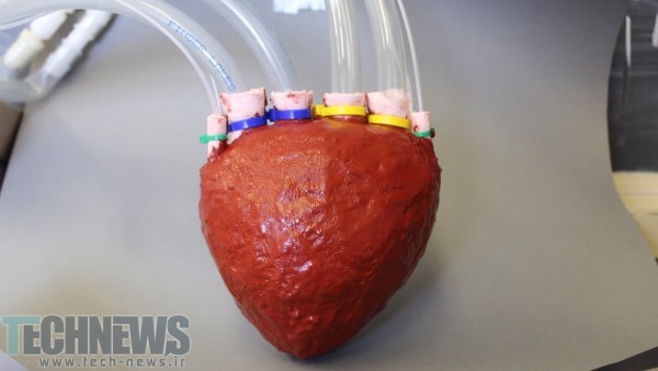 دانشمندان موفق به تولید قلبی مصنوعی از جنس فوم شدند