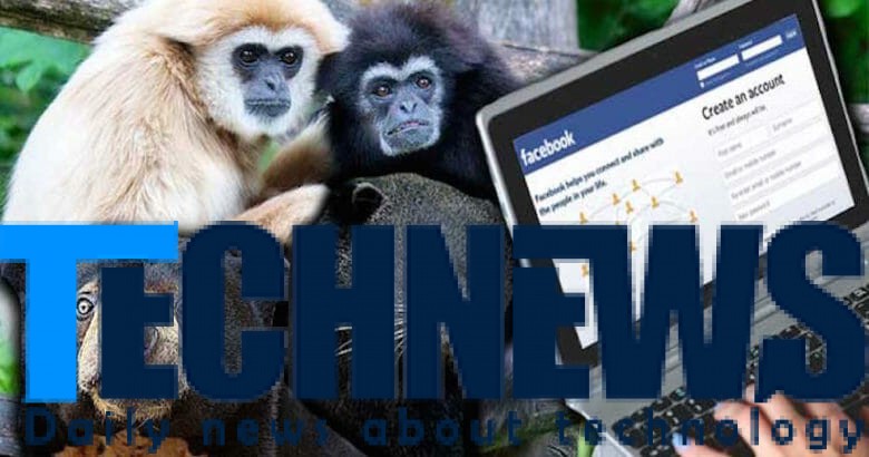 قاچاق حیوانات در خطر انقراض از طریق فیسبوک