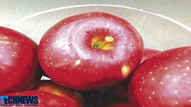 سیب تازه کیهانی حاصل آمیختگی متقاطع دو نژاد مرغوب