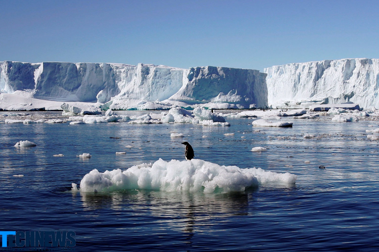 زنگ خطر افزایش دما در قطب جنوب به صدا درآمد