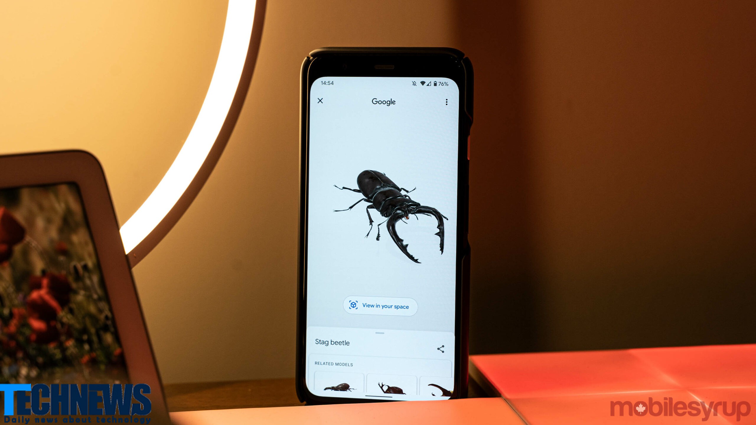 گوگل نمایش حشرات را نیز به جستجوی AR اضافه کرده است