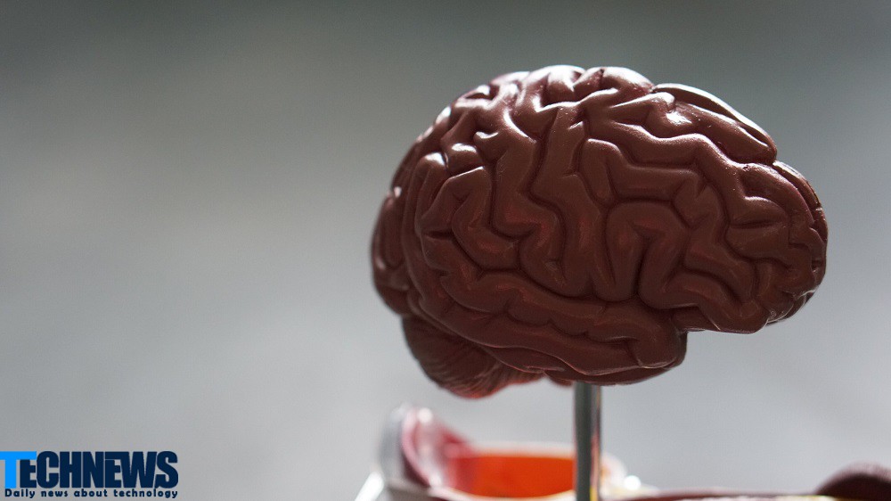 نانوحسگرهای تزریقی می‌توانند فعالیت های مغز را بررسی کنند
