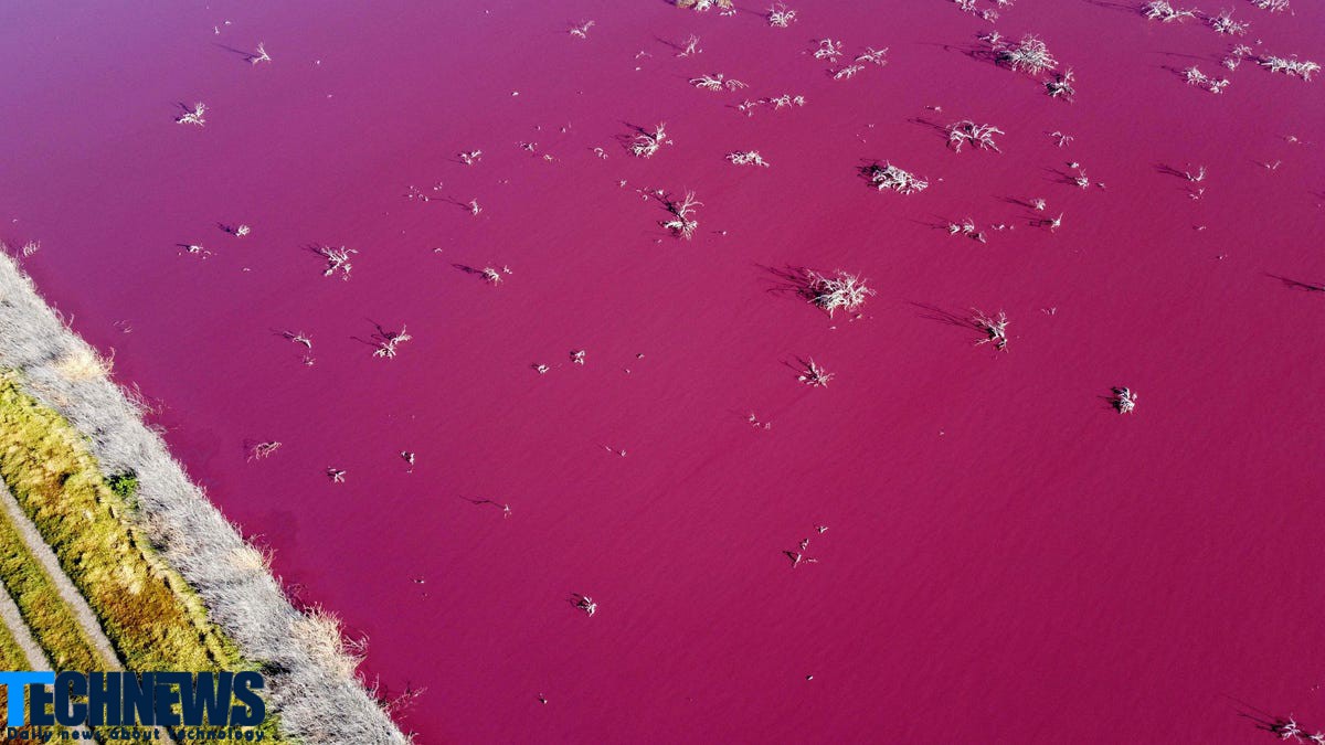 تغییر رنگ دریاچه آرژانتینی به دلیل آلودگی شیمیایی