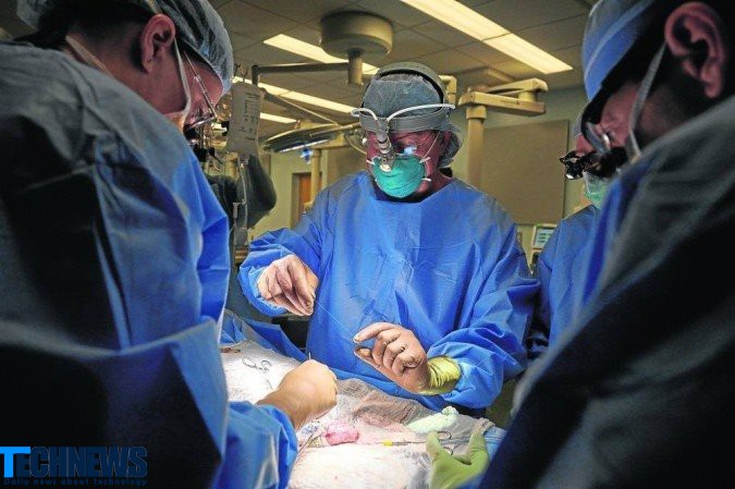 جراحان آمریکایی برای اولین بار کلیه حیوان را به انسان پیوند زدند
