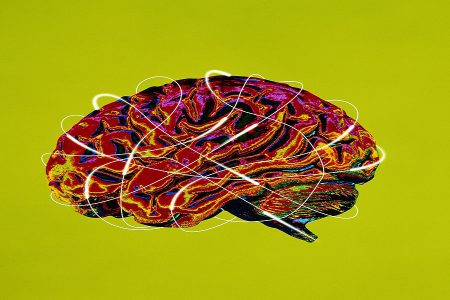 یک گروه اروپایی قصد دارد جفت دیجیتال از مغز انسان بسازد
