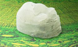 ترکیب گیاهی محققان ام آی تی به اندازه استخوان سفت است