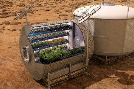 ساکنان آینده مریخ رژیم غذایی گیاهخواری می گیرند