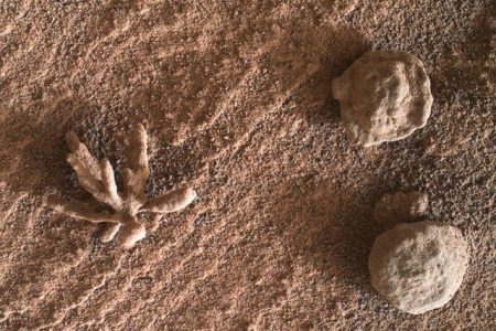 کنجکاوی ساختاری عجیب از یک سازه معدنی شبیه به گل در مریخ کشف کرد