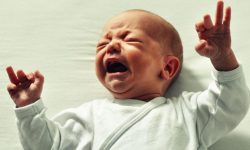 استفاده از فناوری یادگیری ماشینی برای ترجمه گریه نوزادان