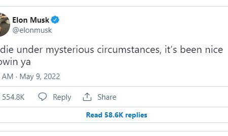 ایلان ماسک در توییتی عجیب از احتمال مرگ مشکوک خود خبر داد