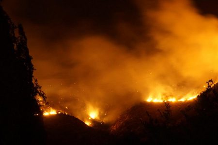 تحقیقات جدید ارتباط بین آتش سوزی جنگل ها و افزایش خطر ابتلا به سرطان را نشان میدهد
