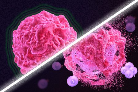 روش جدید محققان برای تحریک سلول های ایمنی با هدف از بین بردن تومورهای سرطانی