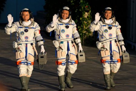 بذرهای ارسالی به فضا همراه با فضانوردان ماموریت شنژو به زمین بازگشت