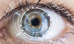 اپلیکیشن جدید پژوهشگران آمریکایی با معاینه چشم آلزایمر را تشخیص میدهد