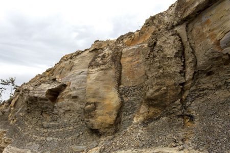 محققان یک جنگل عمودی فسیل شده متعلق به ۲۹۰ میلیون سال پیش در برزیل کشف کردند