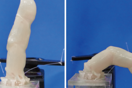 محققان ژاپنی یک انگشت رباتیک پوشیده شده از پوست انسان ساختند