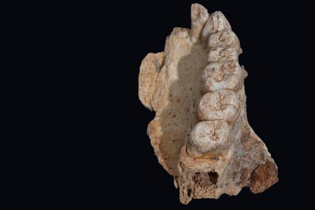 محققان اسپانیایی می گویند قدیمی ترین فسیل انسانی اروپا را کشف کرده اند