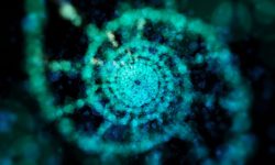 توضیح چگونگی پیدایش حیات در زمین با کشف یک واکنش شیمیایی جدید