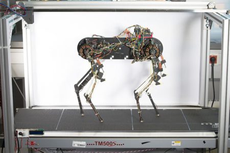 ربات مورتی میتواند نحوه راه رفتن را پس از یک ساعت آموزش یاد بگیرد