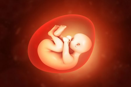ایده یک استارتاپ برای استفاده از جنین های مصنوعی انسان برای بافت های پیوندی