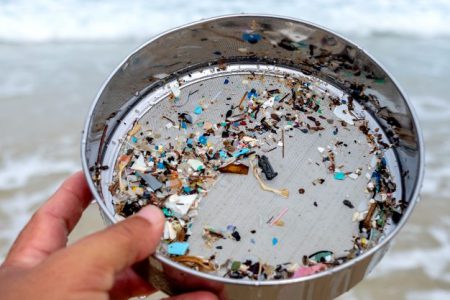 نانو پلاستیک ها می توانند از خاک به حشرات و ماهی ها منتقل شوند