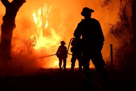 هوش مصنوعی می تواند زمان وقوع آتش سوزی جنگلی را پیش بینی کند