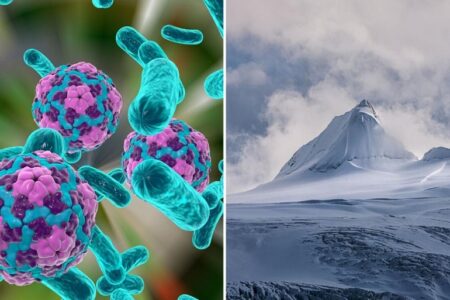 شناسایی چندین ویروس ناشناخته ۱۵ هزار ساله در یخچال های فلات تبت