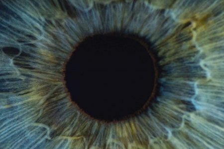 دانشمندان نقشه سه بعدی دی ان ای موجود در شبکیه چشم را ترسیم کردند
