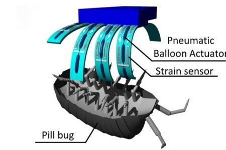 ساخت نوعی ریزانگشت رباتیکی برای برقراری تعامل با حشرات