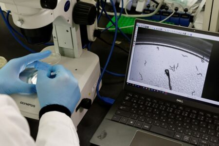 ایده محققان ژاپنی در تشخیص سرطان لوزالمعده؛ استفاده از کرم های مخصوص