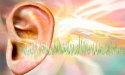 دستگاه محققان ایرانی با تحریک الکتریکی وزوز گوش را درمان می کند