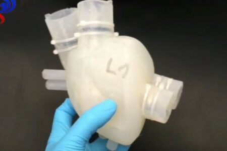 محققان با کمک چاپ سه بعدی قلب رباتیک با قابلیت قلب واقعی ساختند