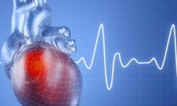 توسعه نوعی الگوریتم مبتنی بر هوش مصنوعی که حملات قلبی را پیس بینی می‌کند