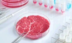 میزان تولید CO2 توسط گوشت آزمایشگاهی ۲۵ برابر بیشتر از گوشت های معمولی است