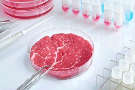 میزان تولید CO2 توسط گوشت آزمایشگاهی ۲۵ برابر بیشتر از گوشت های معمولی است