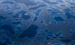 ماده جدیدی که می تواند لکه های نفتی اقیانوس را جذب کند