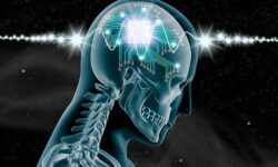 سینکرون رابط هوشمند مغز و رایانه بدون نیاز به ایجاد حفره در جمجمه ساخته است