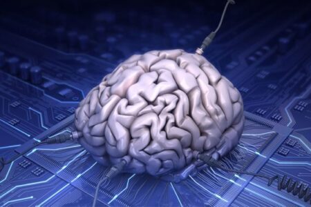 هوش مصنوعی نقشه کاملی از مغز تهیه می کند