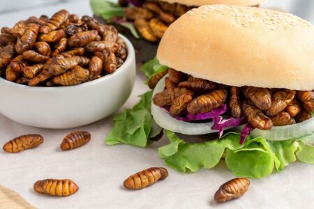 محققان می‌گویند مواد مغذی موجود در حشرات متابولیسم بدن را افزایش می‌دهد