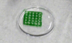 محققان با کمک پرینتر سه بعدی مواد بیولوژیکی تصفیه کننده آب تولید کردند