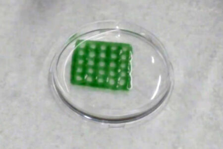محققان با کمک پرینتر سه بعدی مواد بیولوژیکی تصفیه کننده آب تولید کردند