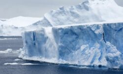 محققان حرکت بزرگترین کوه یخ جهان را تهدیدی برای حیات وحش می‌دانند