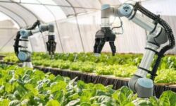 استفاده از سیستم رباتیک پیشرفته برای تحول کشاورزی سنتی