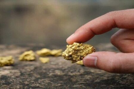 استخراج طلا از طریق شیر مانده با کمک دانشمند ایرانی