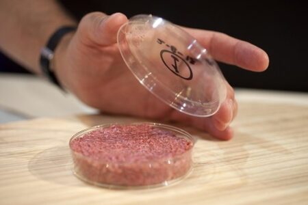 ساخت نوعی حسگر زیستی برای تشخیص گوشت سالم از گوشت فاسد