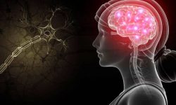 کاهش ریسک بروز اختلالات شناختی با استفاده بیشتر از مغز رابطه مستقیم دارد