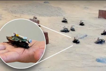 دانشمندان سنگاپوری از سوسک‌های رباتیک مجهز به کوله پشتی رایانه ای رونمایی کردند