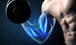 استفاده از اپتوژنتیک برای کنترل عضلات با کمک نور