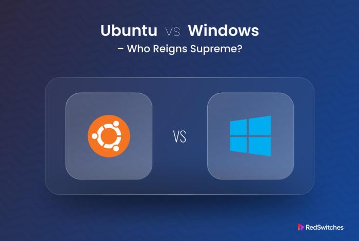 لینوکس امن تر است یا ویندوز؟ مقایسه امنیت دو سیستم عامل معروف  از دیدگاه توسینسو